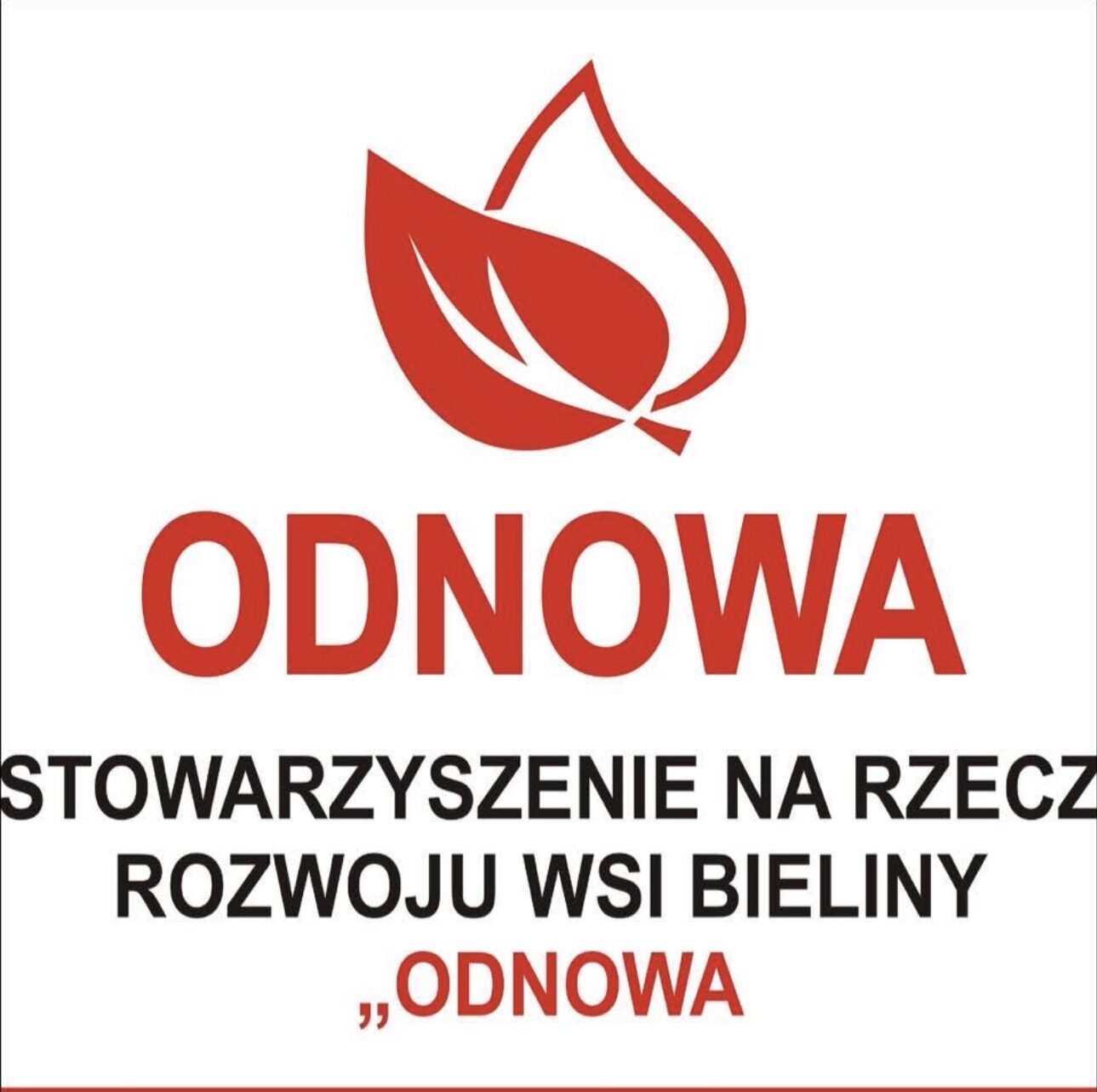 Stowarzyszenie Na Rzecz Rozwoju Wsi Bieliny „OdNowa”